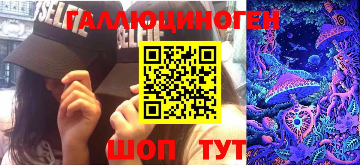 Псилоцибиновые грибы Psilocybe Карталы